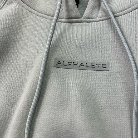Alphalete Cropped Hoodie in Gray - Picture 2 of 4
